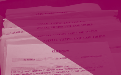Announcing the WLP Annual Advocate Sex Crime Case Review Guidebook