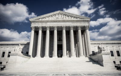 WLP Joins Medication Abortion Brief Filed to U.S. Supreme Court